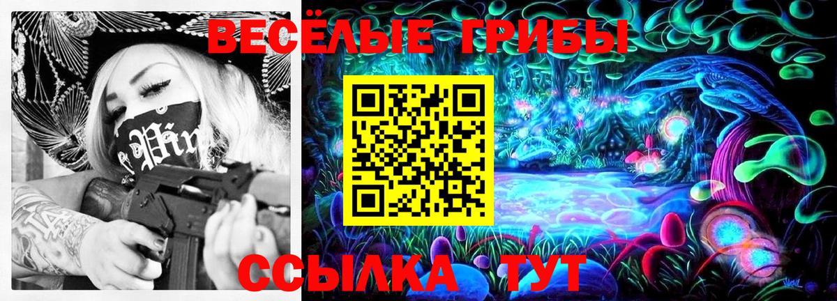 Псилоцибиновые грибы Cubensis  Вход с VPN  Каменка 