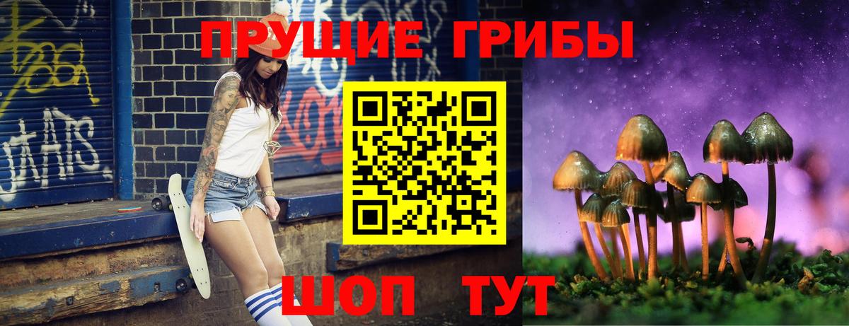 Галлюциногенные грибы мухоморы Каменка